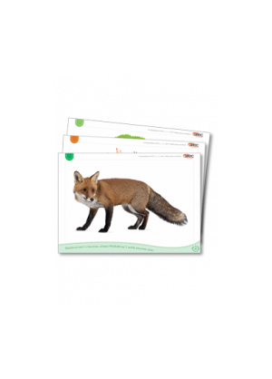 Obr.karty Prvouka 1 Aitec