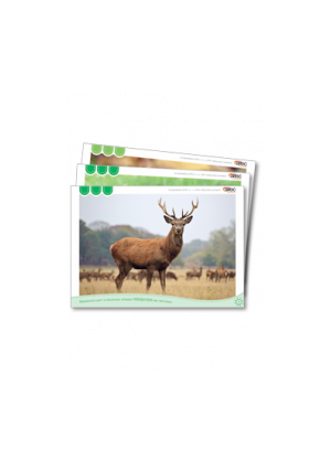 Obr.karty Prírodoveda 3