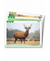 Obr.karty Prírodoveda 3