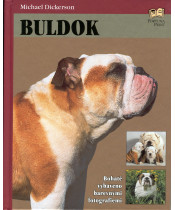 Buldok