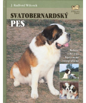 Svatobernardský pes