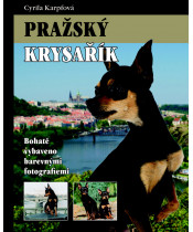 Pražský Krysařik