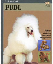 Pudl