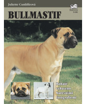 Bullmastif